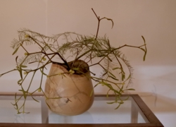 -０ポオオオオオオオオオオオオオオオオオオオオアxzs。。。。。。。。。。。。。。。。。。。。。。。。m]::::::::::::::::::::::::::::::::::::::::::::::::::::::::::::::::::::::::::::::::::::::::::::::::::::::::::::::::::::::::::::::::::::::::::::::::::::::::::::::::::::::::::::::::::::::::::::::::::::::::::::::::::::::::::::::::::::::::::::::::::::::::::::::::::::::::::::::::::::::::::::::::::::::::::::::::::::::::::::::::::::::::::::::::::::::::::::::::::::::::::::::::::::::::::::::::::::::::::::::::::::::::::::::::::::::::::::::::::::::::::::::::::::::::::::::::::::::::::::::::::::::::::::::::::::::::::::::::::::::::::::::::::::::::::::::::::::::::::::::::::::::::::::::::::::::::::::::::::::::::::::::::::::::::::::::::::::::::::::::::::::::::::::::::::::::::::::::::::::::::::::::::::::::::::::::::::::::::::::::::::::::::::::::::::::::::::::::::::::::::::::::::::::::::::::::::::::::::::::::::::::::::::::::::::::::::::::::::::::::::::::::::::::::::::::::::::::::::::::::::::::::::::::::::::::::::::::::::::::::::::::::::::::::::::::::::::::::::::::::::::::::::::::::::::::::::::::::::::::::::::::::::::::::::::::::::::::::::::::::::::::::::::::::::::::::::::::::::::::::::::::::::::::::::::::::::::::::::::::::::::::::::::::::::::::::::::::::::::::::::::::::::::::::::::::::::::::::::::::::::::::::::::::::::::::::::::::::::::::::::::::::::::::::::::::::::::::::::::::::::::::::::::::::::::::::::::::::::::::::::::::::::::::::::::::::::::::::::::::::::::::::::::::::::::::::::::::::::::::::::::::::::::::::::::::::::::::::::::::::::::::::::::::::::::::::::::::::::::::::::::::::::::::::::::::::::::::::::::::::::::::::::::::::::::::::::::::::::::::::::::::::::::::::::::::::::::::::::::::::::::::::::::::::::::::::::::::::::::::::::::::::::::::::::::::::::::::::::::::::::::::::::::::::::::::::::::::::::::::::::::::::::::::::::::::::::::::::::::::::::::::::::::::::::::::::::::::::::::::::::::::::::::::::::::::::::::::::::::::::::::::::::::::::::::::::::::::::::::::::::::::::::::::::::::::::::::::::::::::::::::::::::::::::::::::::::::::::::::::::::::::::::::::::::::::::::::::::::::::::::::::::::::::::::::::::::::::::::::::::::::::::::::::::::::::::::::::::::::::::::::::::::::::::::::::::::::::::::::::::::::::::::::::::::::::::::::::::::::::::::::::::::::::::::::::::::::::::::::::::::::::::::::::::::::::::::::::::::::::::::::::::::::::::::::::::::::::::::::::::::::::::::::::::::::::::::::::::::::::::::::::::::::::::::::::::::::::::::::::::::::::::::::::::::::::::::::::::::::::::::::::::::::::::::::::::::::::::::::::::::::::::::::::::::::::::::::::::::::::::::::::::::::::::::::::::::::::::::::::::::::::::::::::::::::::::::::::::::::::::::::::::::::::::::::::::::::::::::::::::::::::::::::::::::::::::::::::::::::::::::::::::::::::::::::::::::::::::::::::::::::::::::::::::::::::::::::::::::::::::::::::::::::::::::::::::::::::::::::::::::::::::::::::::::::::::::::::::::::::::::::::::::::::::::::::::::::::::::::::::::::::::::::::::::::::::::::::::::::::::::::::::::::::::::::::::::::::::::::::::::::::::::::::::::::::::::::::::::::::::::::::::::::::::::::::::::::::::::::::::::::::::::::::::::::::::::::::::::::::::::::::::::::::::::::::::::::::::::::::::::::::::::::::::::::::::::::::::::::::::::::::::::::::::::::::::::::::::::::::::::::::::::::::::::::::::::::::::::::::::::::::::::::::::::::::::::::::::::::::::::::::::::::::::::::::::::::::::::::::::::::::::::::::::::::::::::::::::::::::::::::::::::::::::::::::::::::::::::::::::::::::::::::::::::::::::::::::::::::::::::::::::::::::::::::::::::::::::::::::::::::::::::::::::::::::::::::::::::::::::::::::::::::::exxxxxxxxxxxxxxxxxxxxxxxxxxxxxxxxxxxxxxxxxxxxxxxxxxxxxxxxxxxxxxxxxxxxxxxxxxxxxxxxxxxxxxxxxxxxxxxxxxxxxxxxxxxxxxxxxxxxxxxxxxxxxxxxxxxxxxxxxxxxxxxxxxxxxxxxxxxxxxxxxxxxxxxxxxxxxxxxxxxxxxxxxxxxxxxxxxxxxxxxxxxxxxxxxxxxxxxxxxxxxxxxxxxxxxxxxxxxxxxxxxxxxxxxxxxxxxxxxxxxxxxxxxxxxxxxxxxxxxxxxxxxxxxxxxxxxxxxxxxxxxxxxxxxxxxxxxxxxxxxxxxxxxxxxxxxxxxxxxxxxxxxxxxxxxxxxxxxxxxxxxxxxxxxxxxxxxxxxxxxxxxxxxxxxxxxxxxxxxxxxxxxxxxxxxxxxxxxxxxxxxxxxxxxxxxxxxxxxxxxxxxxxxxxxxxxxxxxxxxxxxxxxxxxxxxxxxxxxxxxxxxxxxxxxxxxxxxxxxxxxxxxxxxxxxxxxxxxxxxxxxxxxxxxxxxxxxxxxxxxxxxxxxxxxxxxxxxxxxxxxxxxxxxxxxxxxxxxxxxxxxxxxxxxxxxxxxxxxxxxxxxxxxxxxxxxxxxxxxxxxxxxxxxxxxxxxxxxxxxxxxxxxxxxxxxxxxxxxxxxxxxxxxxxxxxxxxxxxxxxxxxxxxxxxxxxxxxxxxxxxxxxxxxxxxxxxxxxxxxxxxxxxxxxxxxxxxxxxxxxxxxxxxxxxxxxxxxxxxxxxxxxxxxxxxxxxxxxxxxxxxxxxxxxxxxxxxxxxxxxxxxxxxxxxxxxxxxxxxxxxxxxxxxxxxxxxxxxxxxxxxxxxxxxxxxxxxxxxxxxxxxxxxxxxxxxxxxxxxxxxxxxxxxxxxxxxxxxxxxxxxxxxxxxxxxxxxxxxxxxxxxxxxxxxxxxxxxxxxxxxxxxxxxxxxxxxxxxxxxxxxxxxxxxxxxxxxxxxxxxxxxxxxxxxxxxxxxxxxxxxxxxxxxxxxxxxxxxxxxxxxxxxxxxxxxxxxxxxxxxxxxxxxxxxxxxxxxxxxxxxxxxxxxxxxxxxxxxxxxxxxxxxxxxxxxxxxxxxxxxxxxxxxxxxxxxxxxxxxxxxxxxxxxxxxxxxxxxxxxxxxxxxxxxxxxxxxxxxxxxxxxxxxxxxxxxxxxxxxxxxxxxxxxxxxxxxxxxxxxxxxxxxxxxxxxxxxxxxxxxxxxxxxxxxxxxxxxxxxxxxxxxxxxxxxxxxxxxxxxxxxxxxxxxxxxxxxxxxxxxxxxxxxxxxxxxxxxxxxxxxxxxxxxxxxxxxxxxxxxxxxxxxxxxxxxxxxxxxxxxxxxxxxxxxxxxxxxxxxxxxxxxxxxxxxxxxxxxxxxxxxxxxxxxxxxxxxxxxxxxxxxxxxxxxxxxxxxxxxxxxxxxxxxxxxxxxxxxxxxxxxxxxxxxxxxxxxxxxxxxxxxxxxxxxxxxxxxxxxxxxxxxxxxxxxxxxxxxxxxxxxxxxxxxxxxxxxxxxxxxxxxxxxxxxxxxxxxxxxxxxxxxxxxxxxxxxxxxxxxxxxxxxxxxxxxxxxxxxxxxxxxxxxxxxxxxxxxxxxxxxxxxxxxxxxxxxxxxxxxxxxxxxxxxxxxxxxxxxxxxxxxxxxxxxxxxxxxxxxxxxxxxxxxxxxxxxxxxxxxxxxxxxxxxxxxxxxxxxxxxxxxxxxxxxxxxxxxxxxxxxxxxxxxxxxxxxxxxxxxxxxxxxxxxxxxxxxxxxxxxxxxxxxxxxxxxxxxxxxxxxxxxxxxxxxxxxxxxxxxxxxxxxxxxxxxxxxxxxxxxxxxxxxxxxxxxxxxxxxxxxxxxxxxxxxxxxxxxxxxxxxxxxxxxxxxxxxxxxxxxxxxxxxxxxxxxxxxxxxxxxxxxxxxxxxxxxxxxxxxxxxxxxxxxxxxxxxxxxxxxxxxxxxxxxxxxxxxxxxxxxxxxxxxxxxxxxxxxxxxxxxxxxxxxxxxxxxxxxxxxxxxxxxxxxxxxxxxxxxxxxxxxxxxxxxxxxxxxxxxxxxxxxxxxxxxxxxxxxxxxxxxxxxxxxxxxxxxxxxxxxxxxxxxxxxxxxxxxxxxxxxxxxxxxxxxxxxxxxxxxxxxxxxxxxxxxxxxxxxxxxxxxxxxxxxxxxxxxxxxxxxxxxxxxxxxxxxxxxxxxxxxxxxxxxxxxxxxxxxxxxxxxxxxxxxxxxxxxxxxxxxxxxxxxxxxxxxxxxxxxxxxxxxxxxxxxxxxxxxxxxxxxxxxxxxxxxxxxxxxxxxxxxxxxxxxxxxxxxxxxxxxxxxxxxxxxxxxxxxxxxxxxxxxxxxxxxxxxxxxxxxxxxxxxxxxxxxxxxxxxxxxxxxxxxxxxxxxxxxxxxxxxxxxxxxxxxxxxxxxxxxxxxxxxxxxxxxxxxxxxxxxxxxxxxxxxxxxxxxxxxxxxxxxxxxxxxxxxxxxxxxxxxxxxxxxxxxxxxxxxxxxxxxxxxxxxxxxxxxxxxxxxxxxxxxxxxxxxxxxxxxxxxxxxxxxxxxxxxxxxxxxxxxxxxxxxxxxxxxxxxxxxxxxxxxxxxxxxxxxxxxxxxxxxxxxxxxxxxxxxxxxxxxxxxxxxxxxxxxxxxxxxxxxxxxxxxxxxxxxxxxxxxxxxxxxxxxxxxxxxxxxxxxxxxxxxxxxxxxxxxxxxxxxxxxxxxxxxxxxxxxxxxxxxxxxxxxxxxxxxxxxxxxxxxxxxxxxxxxxxxxxxxxxxxxxxxxxxxxxxxxxxxxxxxxxxxxxxxxxxxxxxxxxxxxxxxxxxxxxxxxxxxxxxxxxxxxxxxxxxxxxxxxxxxxxxxxxxxxxxxxxxxxxxxxxxxxxxxxxxxxxxxxxxxxxxxxxxxxxxxxxxxxxxxxxxxxxxxxxxxxxxxxxxxxxxxxxxxxxxxxxxxxxxxxxxxxxxxxxxxxxxxxxxxxxxxxxxxxxxxxxxxxxxxxxxxxxxxxxxxxxxxxxxxxxxxxxxxxxxxxxxxxxxxxxxxxxxxxxxxxxxxxxxxxxxxxxxxxxxxxxxxxxxxxxxxxxxxxxxxxxxxxxxxxxxxxxxxxxxxxxxxxxxxxxxxxxxxxxxxxxxxxxxxxxxxxxxxxxxxxxxxxxxxxxxxxxxxxxxxxxxxxxxxxxxxxxxxxxxxxxxxxxxxxxxxxxxxxxxxxxxxxxxxxxxxxxxxxxxxxxxxxxxxxxxxxxxxxxxxxxxxxxxxxxxxxxxxxxxxxxxxxxxxxxxxxxxxxxxxxxxxxxxxxxxxxxxxxxxxxxxxxxxxxxxxxxxxxxxxxxxxxxxxxxxxxxxxxxxxxxxxxxxxxxxxxxxxxxxxxxxxxxxxxxxxxxxxxxxxxxxxxxxxxxxxxxxxxxxxxxxxxxxxxxxxxxxxxxxxxxxxxxxxxxxxxxxxxxxxxxxxxxxxxxxxxxxxxxxxxxxxxxxxxxxxxxxxxxxxxxxxxxxxxxxxxxxxxxxxxxxxxxxxxxxxxxxxxxxxxxxxxxxxxxxxxxxxxxxxxxxxxxxxxxxxxxxxxxxxxxxxxxxxxxxxxxxxxxxxxxxxxxxxxxxxxxxxxxxxxxxxxxxxxxxxxxxxxxxxxxxxxxxxxxxxxxxxxxxxxxxxxxxxxxxxxxxxxxxxxxxxxxxxxxxxxxxxxxxxxxxxxxxxxxxxxxxxxxxxxxxxxxxxxxxxxxxxxxxxxxxxxxxxxxxxxxxxxxxxxxxxxxxxxxxxxxxxxxxxxxxxxxxxxxxxxxxxxxxxxxxxxxxxxxxxxxxxxxxxxxxxxxxxxxxxxxxxxxxxxxxxxxxxxxxxxxxxxxxxxxxxxxxxxxxxxxxxxxxxxxxxxxxxxxxxxxxxxxxxxxxxxxxxxxxxxxxxxxxxxxxxxxxxxxxxxxxxxxxxxxxxxxxxxxxxxxxxxxxxxxxxxxxxxxxxxxxxxxxxxxxxxxxxxxxxxxxxxxxxxxxxxxxxxxxxxxxxxxxxxxxxxxxxxxxxxxxxxxxxxxxxxxxxxxxxxxxxxxxxxxxxxxxxxxxxxxxxxxxxxxxxxxxxxxxxxxxxxxxxxxxxxxxxxxxxxxxxxxxxxxxxxxxxxxxxxxxxxxxxxxxxxxxxxxxxxxxxxxxxxxxxxxxxxxxxxxxxxxxxxxxxxxxxxxxxxxxxxxxxxxxxxxxxxxxxxxxxxxxxxxxxxxxxxxxxxxxxxxxxxxxxxxxxxxxxxxxxxxxxxxxxxxxxxxxxxxxxxxxxxxxxxxxxxxxxxxxxxxxxxxxxxxxxxxxxxxxxxxxxxxxxxxxxxxxxxxxxxxxxxxxxxxxxxxxxxxxxxxxxxxxxxxxxxxxxxxxxxxxxxxxxxxxxxxxxxxxxxxxxxxxxxxxxxxxxxxxxxxxxxxxxxxxxxxxxxxxxxxxxxxxxxxxxxxxxxxxxxxxxxxxxxxxxxxxxxxxxxxxxxxxxxxxxxxxxxxxxxxxxxxxxxxxxxxxxxxxxxxxxxxxxxxxxxxxxxxxxxxxxxxxxxxxxxxxxxxxxxxxxxxxxxxxxxxxxxxxxxxxxxxxxxxxxxxxxxxxxxxxxxxxxxxxxxxxxxxxxxxxxxxxxxxxxxxxxxxxxxxxxxxxxxxxxxxxxxxxxxxxxxxxxxxxxxxxxxxxxxxxxxxxxxxxxxxxxxxxxxxxxxxxxxxxxxxxxxxxxxxxxxxxxxxxxxxxxxxxxxxxxxxxxxxxxxxxxxxxxxxxxxxxxxxxxxxxxxxxxxxxxxxxxxxxxxxxxxxxxxxxxxxxxxxxxxxxxxxxxxxxxxxxxxxxxxxxxxxxxxxxxxxxxxxxxxxxxxxxxxxxxxxxxxxxxxxxxxxxxxxxxxxxxxxxxxxxxxxxxxxxxxxxxxxxxxxxxxxxxxxxxxxxxxxxxxxxxxxxxxxxxxxxxxxxxxxxxxxxxxxxxxxxxxxxxxxxxxxxxxxxxxxxxxxxxxxxxxxxxxxxxxxxxxxxxxxxxxxxxxxxxxxxxxxxxxxxxxxxxxxxxxxxxxxxxxxxxxxxxxxxxxxxxxxxxxxxxxxxxxxxxxxxxxxxxxxxxxxxxxxxxxxxxxxxxxxxxxxxxxxxxxxxxxxxxxxxxxxxxxxxxxxxxxxxxxxxxxxxxxxxxxxxxxxxxxxxxxxxxxxxxxxxxxxxxxxxxxxxxxxxxxxxxxxxxxxxxxxxxxxxxxxxxxxxxxxxxxxxxxxxxxxxxxxxxxxxxxxxxxxxxxxxxxxxxxxxxxxxxxxxxxxxxxxxxxxxxxxxxxxxxxxxxxxxxxxxxxxxxxxxxxxxxxxxxxxxxxxxxxxxxxxxxxxxxxxxxxxxxxxxxxxxxxxxxxxxxxxxxxxxxxxxxxxxxxxxxxxxxxxxxxxxxxxxxxxxxxxxxxxxxxxxxxxxxxxxxxxxxxxxxxxxxxxxxxxxxxxxxxxxxxxxxxxxxxxxxxxxxxxxxxxxxxxxxxxxxxxxxxxxxxxxxxxxxxxxxxxxxxxxxxxxxxxxxxxxxxxxxxxxxxxxxxxxxxxxxxxxxxxxxxxxxxxxxxxxxxxxxxxxxxxxxxxxxxxxxxxxxxxxxxxxxxxxxxxxxxxxxxxxxxxxxxxxxxxxxxxxxxxxxxxxxxxxxxxxxxxxxxxxxxxxxxxxxxxxxxxxxxxxxxxxxxxxxxxxxxxxxxxxxxxxxxxxxxxxxxxxxxxxxxxxxxxxxxxxxxxxxxxxxxxxxxxxxxxxxxxxxxxxxxxxxxxxxxxxxxxxxxxxxxxxxxxxxxxxxxxxxxxxxxxxxxxxxxxxxxxxxxxxxxxxxxxxxxxxxxxxxxxxxxxxxxxxxxxxxxxxxxxxxxxxxxxxxxxxxxxxxxxxxxxxxxxxxxxxxxxxxxxxxxxxxxxxxxxxxxxxxxxxxxxxxxxxxxxxxxxxxxxxxxxxxxxxxxxxxxxxxxxxxxxxxxxxxxxxxxxxxxxxxxxxxxxxxxxxxxxxxxxxxxxxxxxxxxxxxxxxxxxxxxxxxxxxxxxxxxxxxxxxxxxxxxxxxxxxxxxxxxxxxxxxxxxxxxxxxxxxxxxxxxxxxxxxxxxxxxxxxxxxxxxxxxxxxxxxxxxxxxxxxxxxxxxxxxxxxxxxxxxxxxxxxxxxxxxxxxxxxxxxxxxxxxxxxxxxxxxxxxxxxxxxxxxxxxxxxxxxxxxxxxxxxxxxxxxxxxxxxxxxxxxxxxxxxxxxxxxxxxxxxxxxxxxxxxxxxxxxxxxxxxxxxxxxxxxxxxxxxxxxxxxxxxxxxxxxxxxxxxxxxxxxxxxxxxxxxxxxxxxxxxxxxxxxxxxxxxxxxxxxxxxxxxxxxxxxxxxxxxxxxxxxxxxxxxxxxxxxxxxxxxxxxxxxxxxxxxxxxxxxxxxxxxxxxxxxxxxxxxxxxxxxxxxxxxxxxxxxxxxxxxxxxxxxxxxxxxxxxxxxxxxxxxxxxxxxxxxxxxxxxxxxxxxxxxxxxxxxxxxxxxxxxxxxxxxxxxxxxxxxxxxxxxxxxxxxxxxxxxxxxxxxxxxxxxxxxxxxxxxxxxxxxxxxxxxxxxxxxxxxxxxxxxxxxxxxxxxxxxxxxxxxxxxxxxxxxxxxxxxxxxxxxxxxxxxxxxxxxxxxxxxxxxxxxxxxxxxxxxxxxxxxxxxxxxxxxxxxxxxxxxxxxxxxxxxxxxxxxxxxxxxxxxxxxxxxxxxxxxxxxxxxxxxxxxxxxxxxxxxxxxxxxxxxxxxxxxxxxxxxxxxxxxxxxxxxxxxxxxxxxxxxxxxxxxxxxxxxxxxxxxxxxxxxxxxxxxxxxxxxxxxxxxxxxxxxxxxxxxxxxxxxxxxxxxxxxxxxxxxxxxxxxxxxxxxxxxxxxxxxxxxxxxxxxxxxxxxxxxxxxxxxxxxxxxxxxxxxxxxxxxxxxxxxxxxxxxxxxxxxxxxxxxxxxxxxxxxxxxxxxxxxxxxxxxxxxxxxxxxxxxxxxxxxxxxxxxxxxxxxxxxxxxxxxxxxxxxxxxxxxxxxxxxxxxxxxxxxxxxxxxxxxxxxxxxxxxxxxxxxxxxxxxxxxxxxxxxxxxxxxxxxxxxxxxxxxxxxxxxxxxxxxxxxxxxxxxxxxxxxxxxxxxxxxxxxxxxxxxxxxxxxxxxxxxxxxxxxxxxxxxxxxxxxxxxxxxxxxxxxxxxxxxxxxxxxxxxxxxxxxxxxxxxxxxxxxxxxxxxxxxxxxxxxxxxxxxxxxxxxxxxxxxxxxxxxxxxxxxxxxxxxxxxxxxxxxxxxxxxxxxxxxxxxxxxxxxxxxxxxxxxxxxxxxxxxxxxxxxxxxxxxxxxxxxxxxxxxxxxxxxxxxxxxxxxxxxxxxxxxxxxxxxxxxxxxxxxxxxxxxxxxxxxxxxxxxxxxxxxxxxxxxxxxxxxxxxxxxxxxxxxxxxxxxxxxxxxxxxxxxxxxxxxxxxxxxxxxxxxxxxxxxxxxxxxxxxxxxxxxxxxxxxxxxxxxxxxxxxxxxxxxxxxxxxxxxxxxxxxxxxxxxxxxxxxxxxxxxxxxxxxxxxxxxxxxxxxxxxxxxxxxxxxxxxxxxxxxxxxxxxxxxxxxxxxxxxxxxxxxxxxxxxxxxxxxxxxxxxxxxxxxxxxxxxxxxxxxxxxxxxxxxxxxxxxxxxxxxxxxxxxxxxxxxxxxxxxxxxxxxxxxxxxxxxxxxxxxxxxxxxxxxxxxxxxxxxxxxxxxxxxxxxxxxxxxxxxxxxxxxxxxxxxxxxxxxxxxxxxxxxxxxxxxxxxxxxxxxxxxxxxxxxxxxxxxxxxxxxxxxxxxxxxxxxxxxxxxxxxxxxxxxxxxxxxxxxxxxxxxxxxxxxxxxxxxxxxxxxxxxxxxxxxxxxxxxxxxxxxxxxxxxxxxxxxxxxxxxxxxxxxxxxxxxxxxxxxxxxxxxxxxxxxxxxxxxxxxxxxxxxxxxxxxxxxxxxxxxxxxxxxxxxxxxxxxxxxxxxxxxxxxxxxxxxxxxxxxxxxxxxxxxxxxxxxxxxxxxxxxxxxxxxxxxxxxxxxxxxxxxxxxxxxxxxxxxxxxxxxxxxxxxxxxxxxxxxxxxxxxxxxxxxxxxxxxxxxxxxxxxxxxxxxxxxxxxxxxxxxxxxxxxxxxxxxxxxxxxxxxxxxxxxxxxxxxxxxxxxxxxxxxxxxxxxxxxxxxxxxxxxxxxxxxxxxxxxxxxxxxxxxxxxxxxxxxxxxxxxxxxxxxxxxxxxxxxxxxxxxxxxxxxxxxxxxxxxxxxxxxxxxxxxxxxxxxxxxxxxxxxxxxxxxxxxxxxxxxxxxxxxxxxxxxxxxxxxxxxxxxxxxxxxxxxxxxxxxxxxxxxxxxxxxxxxxxxxxxxxxxxxxxxxxxxxxxxxxxxxxxxxxxxxxxxxxxxxxxxxxxxxxxxxxxxxxxxxxxxxxxxxxxxxxxxxxxxxxxxxxxxxxxxxxxxxxxxxxxxxxxxxxxxxxxxxxxxxxxxxxxxxxxxxxxxxxxxxxxxxxxxxxxxxxxxxxxxxxxxxxxxxxxxxxxxxxxxxxxxxxxxxxxxxxxxxxxxxxxxxxxxxxxxxxxxxxxxxxxxxxxxxxxxxxxxxxxxxxxxxxxxxxxxxxxxxxxxxxxxxxxxxxxxxxxxxxxxxxxxxxxxxxxxxxxxxxxxxxxxxxxxxxxxxxxxxxxxxxxxxxxxxxxxxxxxxxxxxxxxxxxxxxxxxxxxxxxxxxxxxxxxxxxxxxxxxxxxxxxxxxxxxxxxxxxxxxxxxxxxxxxxxxxxxxxxxxxxxxxxxxxxxxxxxxxxxxxxxxxxxxxxxxxxxxxxxxxxxxxxxxxxxxxxxxxxxxxxxxxxxxxxxxxxxxxxxxxxxxxxxxxxxxxxxxxxxxxxxxxxxxxxxxxxxxxxxxxxxxxxxxxxxxxxxxxxxxxxxxxxxxxxxxxxxxxxxxxxxxxxxxxxxxxxxxxxxxxxxxxxxxxxxxxxxxxxxxxxxxxxxxxxxxxxxxxxxxxxxxxxxxxxxxxxxxxxxxxxxxxxxxxxxxxxxxxxxxxxxxxxxxxxxxxxxxxxxxxxxxxxxxxxxxxxxxxxxxxxxxxxxxxxxxxxxxxxxxxxxxxxxxxxxxxxxxxxxxxxxxxxxxxxxxxxxxxxxxxxxxxxxxxxxxxxxxxxxxxxxxxxxxxxxxxxxxxxxxxxxxxxxxxxxxxxxxxxxxxxxxxxxxxxxxxxxxxxxxxxxxxxxxxxxxxxxxxxxxxxxxxxxxxxxxxxxxxxxxxxxxxxxxxxxxxxxxxxxxxxxxxxxxxxxxxxxxxxxxxxxxxxxxxxxxxxxxxxxxxxxxxxxxxxxxxxxxxxxxxxxxxxxxxxxxxxxxxxxxxxxxxxxxxxxxxxxxxxxxxxxxxxxxxxxxxxxxxxxxxxxxxxxxxxxxxxxxxxxxxxxxxxxxxxxxxxxxxxxxxxxxxxxxxxxxxxxxxxxxxxxxxxxxxxxxxxxxxxxxxxxxxxxxxxxxxxxxxxxxxxxxxxxxxxxxxxxxxxxxxxxxxxxxxxxxxxxxxxxxxxxxxxxxxxxxxxxxxxxxxxxxxxxxxxxxxxxxxxxxxxxxxxxxxxxxxxxxxxxxxxxxxxxxxxxxxxxxxxxxxxxxxxxxxxxxxxxxxxxxxxxxxxxxxxxxxxxxxxxxxxxxxxxxxxxxxxxxxxxxxxxxxxxxxxxxxxxxxxxxxxxxxxxxxxxxxxxxxxxxxxxxxxxxxxxxxxxxxxxxxxxxxxxxxxxxxxxxxxxxxxxxxxxxxxxxxxxxxxxxxxxxxxxxxxxxxxxxxxxxxxxxxxxxxxxxxxxxxxxxxxxxxxxxxxxxxxxxxxxxxxxxxxxxxxxxxxxxxxxxxxxxxxxxxxxxxxxxxxxxxxxxxxxxxxxxxxxxxxxxxxxxxxxxxxxxxxxxxxxxxxxxxxxxxxxxxxxxxxxxxxxxxxxxxxxxxxxxxxxxxxxxxxxxxxxxxxxxxxxxxxxxxxxxxxxxxxxxxxxxxxxxxxxxxxxxxxxxxxxxxxxxxxxxxxxxxxxxxxxxxxxxxxxxxxxxxxxxxxxxxxxxxxxxxxxxxxxxxxxxxxxxxxxxxxxxxxxxxxxxxxxxxxxxxxxxxxxxxxxxxxxxxxxxxxxxxxxxxxxxxxxxxxxxxxxxxxxxxxxxxxxxxxxxxxxxxxxxxxxxxxxxxxxxxxxxxxxxxxxxxxxxxxxxxxxxxxxxxxxxxxxxxxxxxxxxxxxxxxxxxxxxxxxxxxxxxxxxxxxxxxxxxxxxxxxxxxxxxxxxxxxxxxxxxxxxxxxxxxxxxxxxxxxxxxxxxxxxxxxxxxxxxxxxxxxxxxxxxxxxxxxxxxxxxxxxxxxxxxxxxxxxxxxxxxxxxxxxxxxxxxxxxxxxxxxxxxxxxxxxxxxxxxxxxxxxxxxxxxxxxxxxxxxxxxxxxxxxxxxxxxxxxxxxxxxxxxxxxxxxxxxxxxxxxxxxxxxxxxxxxxxxxxxxxxxxxxxxxxxxxxxxxxxxxxxxxxxxxxxxxxxxxxxxxxxxxxxxxxxxxxxxxxxxxxxxxxxxxxxxxxxxxxxxxxxxxxxxxxxxxxxxxxxxxxxxxxxxxxxxxxxxxxxxxxxxxxxxxxxxxxxxxxxxxxxxxxxxxxxxxxxxxxxxxxxxxxxxxxxxxxxxxxxxxxxxxxxxxxxxxxxxxxxxxxxxxxxxxxxxxxxxxxxxxxxxxxxxxxxxxxxxxxxxxxxxxxxxxxxxxxxxxxxxxxxxxxxxxxxxxxxxxxxxxxxxxxxxxxxxxxxxxxxxxxxxxxxxxxxxxxxxxxxxxxxxxxxxxxxxxxxxxxxxxxxxxxxxxxxxxxxxxxxxxxxxxxxxxxxxxxxxxxxxxxxxxxxxxxxxxxxxxxxxxxxxxxxxxxxxxxxxxxxxxxxxxxxxxxxxxxxxxxxxxxxxxxxxxxxxxxxxxxxxxxxxxxxxxxxxxxxxxxxxxxxxxxxxxxxxxxxxxxxxxxxxxxxxxxxxxxxxxxxxxxxxxxxxxxxxxxxxxxxxxxxxxxxxxxxxxxxxxxxxxxxxxxxxxxxxxxxxxxxxxxxxxxxxxxxxxxxxxxxxxxxxxxxxxxxxxxxxxxxxxxxxxxxxxxxxxxxxxxxxxxxxxxxxxxxxxxxxxxxxxxxxxxxxxxxxxxxxxxxxxxxxxxxxxxxxxxxxxxxxxxxxxxxxxxxxxxxxxxxxxxxxxxxxxxxxxxxxxxxxxxxxxxxxxxxxxxxxxxxxxxxxxxxxxxxxxxxxxxxxxxxxxxxxxxxxxxxxxxxxxxxxxxxxxxxxxxxxxxxxxxxxxxxxxxxxxxxxxxxxxxxxxxxxxxxxxxxxxxxxxxxxxxxxxxxxxxxxxxxxxxxxxxxxxxxxxxxxxxxxxxxxxxxxxxxxxxxxxxxxxxxxxxxxxxxxxxxxxxxxxxxxxxxxxxxxxxxxxxxxxxxxxxxxxxxxxxxxxxxxxxxxxxxxxxxxxxxxxxxxxxxxxxxxxxxxxxxxxxxxxxxxxxxxxxxxxxxxxxxxxxxxxxxxxxxxxxxxxxxxxxxxxxxxxxxxxxxxxxxxxxxxxxxxxxxxxxxxxxxxxxxxxxxxxxxxxxxxxxxxxxxxxxxxxxxxxxxxxxxxxxxxxxxxxxxxxxxxxxxxxxxxxxxxxxxxxxxxxxxxxxxxxxxxxxxxxxxxxxxxxxxxxxxxxxxxxxxxxxxxxxxxxxxxxxxxxxxxxxxxxxxxxxxxxxxxxxxxxxxxxxxxxxxxxxxxxxxxxxxxxxxxxxxxxxxxxxxxxxxxxxxxxxxxxxxxxxxxxxxxxxxxxxxxxxxxxxxxxxxxxxxxxxxxxxxxxxxxxxxxxxxxxxxxxxxxxxxxxxxxxxxxxxxxxxxxxxxxxxxxxxxxxxxxxxxxxxxxxxxxxxxxxxxxxxxxxxxxxxxxxxxxxxxxxxxxxxxxxxxxxxxxxxxxxxxxxxxxxxxxxxxxxxxxxxxxxxxxxxxxxxxxxxxxxxxxxxxxxxxxxxxxxxxxxxxxxxxxxxxxxxxxxxxxxxxxxxxxxxxxxxxxxxxxxxxxxxxxxxxxxxxxxxxxxxxxxxxxxxxxxxxxxxxxxxxxxxxxxxxxxxxxxxxxxxxxxxxxxxxxxxxxxxxxxxxxxxxxxxxxxxxxxxxxxxxxxxxxxxxxxxxxxxxxxxxxxxxxxxxxxxxxxxxxxxxxxxxxxxxxxxxxxxxxxxxxxxxxxxxxxxxxxxxxxxxxxxxxxxxxxxxxxxxxxxxxxxxxxxxxxxxxxxxxxxxxxxxxxxxxxxxxxxxxxxxxxxxxxxxxxxxxxxxxxxxxxxxxxxxxxxxxxxxxxxxxxxxxxxxxxxxxxxxxxxxxxxxxxxxxxxxxxxxxxxxxxxxxxxxxxxxxxxxxxxxxxxxxxxxxxxxxxxxxxxxxxxxxxxxxxxxxxxxxxxxxxxxxxxxxxxxxxxxxxxxxxxxxxxxxxxxxxxxxxxxxxxxxxxxxxxxxxxxxxxxxxxxxxxxxxxxxxxxxxxxxxxxxxxxxxxxxxxxxxxxxxxxxxxxxxxxxxxxxxxxxxxxxxxxxxxxxxxxxxxxxxxxxxxxxxxxxxxxxxxxxxxxxxxxxxxxxxxxxxxxxxxxxxxxxxxxxxxxxxxxxxxxxxxxxxxxxxxxxxxxxxxxxxxxxxxxxxxxxxxxxxxxxxxxxxxxxxxxxxxxxxxxxxxxxxxxxxxxxxxxxxxxxxxxxxxxxxxxxxxxxxxxxxxxxxxxxxxxxxxxxxxxxxxxxxxxxxxxxxxxxxxxxxxxxxxxxxxxxxxxxxxxxxxxxxxxxxxxxxxxxxxxxxxxxxxxxxxxxxxxxxxxxxxxxxxxxxxxxxxxxxxxxxxxxxxxxxxxxxxxxxxxxxxxxxxxxxxxxxxxxxxxxxxxxxxxxxxxxxxxxxxxxxxxxxxxxxxxxxxxxxxxxxxxxxxxxxxxxxxxxxxxxxxxxxxxxxxxxxxxxxxxxxxxxxxxxxxxxxxxxxxxxxxxxxxxxxxxxxxxxxxxxxxxxxxxxxxxxxxxxxxxxxxxxxxxxxxxxxxxxxxxxxxxxxxxxxxxxxxxxxxxxxxxxxxxxxxxxxxxxxxxxxxxxxxxxxxxxxxxxxxxxxxxxxxxxxxxxxxxxxxxxxxxxxxxxxxxxxxxxxxxxxxxxxxxxxxxxxxxxxxxxxxxxxxxxxxxxxxxxxxxxxxxxxxxxxxxxxxxxxxxxxxxxxxxxxxxxxxxxxxxxxxxxxxxxxxxxxxxxxxxxxxxxxxxxxxxxxxxxxxxxxxxxxxxxxxxxxxxxxxxxxxxxxxxxxxxxxxxxxxxxxxxxxxxxxxxxxxxxxxxxxxxxxxxxxxxxxxxxxxxxxxxxxxxxxxxxxxxxxxxxxxxxxxxxxxxxxxxxxxxxxxxxxxxxxxxxxxxxxxxxxxxxxxxxxxxxxxxxxxxxxxxxxxxxxxxxxxxxxxxxxxxxxxxxxxxxxxxxxxxxxxxxxxxxxxxxxxxxxxxxxxxxxxxxxxxxxxxxxxxxxxxxxxxxxxxxxxxxxxxxxxxxxxxxxxxxxxxxxxxxxxxxxxxxxxxxxxxxxxxxxxxxxxxxxxxxxxxxxxxxxxxxxxxxxxxxxxxxxxxxxxxxxxxxxxxxxxxxxxxxxxxxxxxxxxxxxxxxxxxxxxxxxxxxxxxxxxxxxxxxxxxxxxxxxxxxxxxxxxxxxxxxxxxxxxxxxxxxxxxxxxxxxxxxxxxxxxxxxxxxxxxxxxxxxxxxxxxxxxxxxxxxxxxxxxxxxxxxxxxxxxxxxxxxxxxxxxxxxxxxxxxxxxxxxxxxxxxxxxxxxxxxxxxxxxxxxxxxxxxxxxxxxxxxxxxxxxxxxxxxxxxxxxxxxxxxxxxxxxxxxxxxxxxxxxxxxxxxxxxxxxxxxxxxxxxxxxxxxxxxxxxxxxxxxxxxxxxxxxxxxxxxxxxxxxxxxxxxxxxxxxxxxxxxxxxxxxxxxxxxxxxxxxxxxxxxxxxxxxxxxxxxxxxxxxxxxxxxxxxxxxxxxxxxxxxxxxxxxxxxxxxxxxxxxxxxxxxxxxxxxxxxxxxxxxxxxxxxxxxxxxxxxxxxxxxxxxxxxxxxxxxxxxxxxxxxxxxxxxxxxxxxxxxxxxxxxxxxxxxxxxxxxxxxxxxxxxxxxxxxxxxxxxxxxxxxxxxxxxxxxxxxxxxxxxxxxxxxxxxxxxxxxxxxxxxxxxxxxxxxxxxxxxxxxxxxxxxxxxxxxxxxxxxxxxxxxxxxxxxxxxxxxxxxxxxxxxxxxxxxxxxxxxxxxxxxxxxxxxxxxxxxxxxxxxxxxxxxxxxxxxxxxxxxxxxxxxxxxxxxxxxxxxxxxxxxxxxxxxxxxxxxxxxxxxxxxxxxxxxxxxxxxxxxxxxxxxxxxxxxxxxxxxxxxxxxxxxxxxxxxxxxxxxxxxxxxxxxxxxxxxxxxxxxxxxxxxxxxxxxxxxxxxxxxxxxxxxxxxxxxxxxxxxxxxxxxxxxxxxxxxxxxxxxxxxxxxxxxxxxxxxxxxxxxxxxxxxxxxxxxxxxxxxxxxxxxxxxxxxxxxxxxxxxxxxxxxxxxxxxxxxxxxxxxxxxxxxxxxxxxxxxxxxxxxxxxxxxxxxxxxxxxxxxxxxxxxxxxxxxxxxxxxxxxxxxxxxxxxxxxxxxxxxxxxxxxxxxxxxxxxxxxxxxxxxxxxxxxxxxxxxxxxxxxxxxxxxxxxxxxxxxxxxxxxxxxxxxxxxxxxxxxxxxxxxxxxxxxxxxxxxxxxxxxxxxxxxxxxxxxxxxxxxxxxxxxxxxxxxxxxxxxxxxxxxxxxxxxxxxxxxxxxxxxxxxxxxxxxxxxxxxxxxxxxxxxxxxxxxxxxxxxxxxxxxxxxxxxxxxxxxxxxxxxxxxxxxxxxxxxxxxxxxxxxxxxxxxxxxxxxxxxxxxxxxxxxxxxxxxxxxxxxxxxxxxxxxxxxxxxxxxxxxxxxxxxxxxxxxxxxxxxxxxxxxxxxxxxxxxxxxxxxxxxxxxxxxxxxxxxxxxxxxxxxxxxxxxxxxxxxxxxxxxxxxxxxxxxxxxxxxxxxxxxxxxxxxxxxxxxxxxxxxxxxxxxxxxxxxxxxxxxxxxxxxxxxxxxxxxxxxxxxxxxxxxxxxxxxxxxxxxxxxxxxxxxxxxxxxxxxxxxxxxxxxxxxxxxxxxxxxxxxxxxxxxxxxxxxxxxxxxxxxxxxxxxxxxxxxxxxxxxxxxxxxxxxxxxxxxxxxxxxxxxxxxxxxxxxxxxxxxxxxxxxxxxxxxxxxxxxxxxxxxxxxxxxxxxxxxxxxxxxxxxxxxxxxxxxxxxxxxxxxxxxxxxxxxxxxxxxxxxxxxxxxxxxxxxxxxxxxxxxxxxxxxxxxxxxxxxxxxxxxxxxxxxxxxxxxxxxxxxxxxxxxxxxxxxxxxxxxxxxxxxxxxxxxxxxxxxxxxxxxxxxxxxxxxxxxxxxxxxxxxxxxxxxxxxxxxxxxxxxxxxxxxxxxxxxxxxxxxxxxxxxxxxxxxxxxxxxxxxxxxxxxxxxxxxxxxxxxxxxxxxxxxxxxxxxxxxxxxxxxxxxxxxxxxxxxxxxxxxxxxxxxxxxxxxxxxxxxxxxxxxxxxxxxxxxxxxxxxxxxxxxxxxxxxxxxxxxxxxxxxxxxxxxxxxxxxxxxxxxxxxxxxxxxxxxxxxxxxxxxxxxxxxxxxxxxxxxxxxxxxxxxxxxxxxxxxxxxxxxxxxxxxxxxxxxxxxxxxxxxxxxxxxxxxxxxxxxxxxxxxxxxxxxxxxxxxxxxxxxxxxxxxxxxxxxxxxxxxxxxxxxxxxxxxxxxxxxxxxxxxxxxxxxxxxxxxxxxxxxxxxxxxxxxxxxxxxxxxxxxxxxxxxxxxxxxxxxxxxxxxxxxxxxxxxxxxxxxxxxxxxxxxxxxxxxxxxxxxxxxxxxxxxxxxxxxxxxxxxxxxxxxxxxxxxxxxxxxxxxxxxxxxxxxxxxxxxxxxxxxxxxxxxxxxxxxxxxxxxxxxxxxxxxxxxxxxxxxxxxxxxxxxxxxxxxxxxxxxxxxxxxxxxxxxxxxxxxxxxxxxxxxxxxxxxxxxxxxxxxxxxxxxxxxxxxxxxxxxxxxxxxxxxxxxxxxxxxxxxxxxxxxxxxxxxxxxxxxxxxxxxxxxxxxxxxxxxxxxxxxxxxxxxxxxxxxxxxxxxxxxxxxxxxxxxxxxxxxxxxxxxxxxxxxxxxxxxxxxxxxxxxxxxxxxxxxxxxxxxxxxxxxxxxxxxxxxxxxxxxxxxxxxxxxxxxxxxxxxxxxxxxxxxxxxxxxxxxxxxxxxxxxxxxxxxxxxxxxxxxxxxxxxxxxxxxxxxxxxxxxxxxxxxxxxxxxxxxxxxxxxxxxxxxxxxxxxxxxxxxxxxxxxxxxxxxxxxxxxxxxxxxxxxxxxxxxxxxxxxxxxxxxxxxxxxxxxxxxxxxxxxxxxxxxxxxxxxxxxxxxxxxxxxxxxxxxxxxxxxxxxxxxxxxxxxxxxxxxxxxxxxxxxxxxxxxxxxxxxxxxxxxxxxxxxxxxxxxxxxxxxxxxxxxxxxxxxxxxxxxxxxxxxxxxxxxxxxxxxxxxxxxxxxxxxxxxxxxxxxxxxxxxxxxxxxxxxxxxxxxxxxxxxxxxxxxxxxxxxxxxxxxxxxxxxxxxxxxxxxxxxxxxxxxxxxxxxxxxxxxxxxxxxxxxxxxxxxxxxxxxxxxxxxxxxxxxxxxxxxxxxxxxxxxxxxxxxxxxxxxxxxxxxxxxxxxxxxxxxxxxxxxxxxxxxxxxxxxxxxxxxxxxxxxxxxxxxxxxxxxxxxxxxxxxxxxxxxxxxxxxxxxxxxxxxxxxxxxxxxxxxxxxxxxxxxxxxxxxxxxxxxxxxxxxxxxxxxxxxxxxxxxxxxxxxxxxxxxxxxxxxxxxxxxxxxxxxxxxxxxxxxxxxxxxxxxxxxxxxxxxxxxxxxxxxxxxxxxxxxxxxxxxxxxxxxxxxxxxxxxxxxxxxxxxxxxxxxxxxxxxxxxxxxxxxxxxxxxxxxxxxxxxxxxxxxxxxxxxxxxxxxxxxxxxxxxxxxxxxxxxxxxxxxxxxxxxxxxxxxxxxxxxxxxxxxxxxxxxxxxxxxxxxxxxxxxxxxxxxxxxxxxxxxxxxxxxxxxxxxxxxxxxxxxxxxxxxxxxxxxxxxxxxxxxxxxxxxxxxxxxxxxxxxxxxxxxxxxxxxxxxxxxxxxxxxxxxxxxxxxxxxxxxxxxxxxxxxxxxxxxxxxxxxxxxxxxxxxxxxxxxxxxxxxxxxxxxxxxxxxxxxxxxxxxxxxxxxxxxxxxxxxxxxxxxxxxxxxxxxxxxxxxxxxxxxxxxxxxxxxxxxxxxxxxxxxxxxxxxxxxxxxxxxxxxxxxxxxxxxxxxxxxxxxxxxxxxxxxxxxxxxxxxxxxxxxxxxxxxxxxxxxxxxxxxxxxxxxxxxxxxxxxxxxxxxxxxxxxxxxxxxxxxxxxxxxxxxxxxxxxxxxxxxxxxxxxxxxxxxxxxxxxxxxxxxxxxxxxxxxxxxxxxxxxxxxxxxxxxxxxxxxxxxxxxxxxxxxxxxxxxxxxxxxxxxxxxxxxxxxxxxxxxxxxxxxxxxxxxxxxxxxxxxxxxxxxxxxxxxxxxxxxxxxxxxxxxxxxxxxxxxxxxxxxxxxxxxxxxxxxxxxxxxxxxxxxxxxxxxxxxxxxxxxxxxxxxxxxxxxxxxxxxxxxxxxxxxxxxxxxxxxxxxxxxxxxxxxxxxxxxxxxxxxxxxxxxxxxxxxxxxxxxxxxxxxxxxxxxxxxxxxxxxxxxxxxxxxxxxxxxxxxxxxxxxxxxxxxxxxxxxxxxxxxxxxxxxxxxxxxxxxxxxxxxxxxxxxxxxxxxxxxxxxxxxxxxxxxxxxxxxxxxxxxxxxxxxxxxxxxxxxxxxxxxxxxxxxxxxxxxxxxxxxxxxxxxxxxxxxxxxxxxxxxxxxxxxxxxxxxxxxxxxxxxxxxxxxxxxxxxxxxxxxxxxxxxxxxxxxxxxxxxxxxxxxxxxxxxxxxxxxxxxxxxxxxxxxxxxxxxxxxxxxxxxxxxxxxxxxxxxxxxxxxxxxxxxxxxxxxxxxxxxxxxxxxxxxxxxxxxxxxxxxxxxxxxxxxxxxxxxxxxxxxxxxxxxxxxxxxxxxxxxxxxxxxxxxxxxxxxxxxxxxxxxxxxxxxxxxxxxxxxxxxxxxxxxxxxxxxxxxxxxxxxxxxxxxxxxxxxxxxxxxxxxxxxxxxxxxxxxxxxxxxxxxxxxxxxxxxxxxxxxxxxxxxxxxxxxxxxxxxxxxxxxxxxxxxxxxxxxxxxxxxxxxxxxxxxxxxxxxxxxxxxxxxxxxxxxxxxxxxxxxxxxxxxxxxxxxxxxxxxxxxxxxxxxxxxxxxxxxxxxxxxxxxxxxxxxxxxxxxxxxxxxxxxxxxxxxxxxxxxxxxxxxxxxxxxxxxxxxxxxxxxxxxxxxxxxxxxxxxxxxxxxxxxxxxxxxxxxxxxxxxxxxxxxxxxxxxxxxxxxxxxxxxxxxxxxxxxxxxxxxxxxxxxxxxxxxxxxxxxxxxxxxxxxxxxxxxxxxxxxxxxxxxxxxxxxxxxxxxxxxxxxxxxxxxxxxxxxxxxxxxxxxxxxxxxxxxxxxxxxxxxxxxxxxxxxxxxxxxxxxxxxxxxxxxxxxxxxxxxxxxxxxxxxxxxxxxxxxxxxxxxxxxxxxxxxxxxxxxxxxxxxxxxxxxxxxxxxxxxxxxxxxxxxxxxxxxxxxxxxxxxxxxxxxxxxxxxxxxxxxxxxxxxxxxxxxxxxxxxxxxxxxxxxxxxxxxxxxxxxxxxxxxxxxxxxxxxxxxxxxxxxxxxxxxxxxxxxxxxxxxxxxxxxxxxxxxxxxxxxxxxxxxxxxxxxxxxxxxxxxxxxxxxxxxxxxxxxxxxxxxxxxxxxxxxxxxxxxxxxxxxxxxxxxxxxxxxxxxxxxxxxxxxxxxxxxxxxxxxxxxxxxxxxxxxxxxxxxxxxxxxxxxxxxxxxxxxxxxxxxxxxxxxxxxxxxxxxxxxxxxxxxxxxxxxxxxxxxxxxxxxxxxxxxxxxxxxxxxxxxxxxxxxxxxxxxxxxxxxxxxxxxxxxxxxxxxxxxxxxxxxxxxxxxxxxxxxxxxxxxxxxxxxxxxxxxxxxxxxxxxxxxxxxxxxxxxxxxxxxxxxxxxxxxxxxxxxxxxxxxxxxxxxxxxxxxxxxxxxxxxxxxxxxxxxxxxxxxxxxxxxxxxxxxxxxxxxxxxxxxxxxxxxxxxxxxxxxxxxxxxxxxxxxxxxxxxxxxxxxxxxxxxxxxxxxxxxxxxxxxxxxxxxxxxxxxxxxxxxxxxxxxxxxxxxxxxxxxxxxxxxxxxxxxxxxxxxxxxxxxxxxxxxxxxxxxxxxxxxxxxxxxxxxxxxxxxxxxxxxxxxxxxxxxxxxxxxxxxxxxxxxxxxxxxxxxxxxxxxxxxxxxxxxxxxxxxxxxxxxxxxxxxxxxxxxxxxxxxxxxxxxxxxxxxxxxxxxxxxxxxxxxxxxxxxxxxxxxxxxxxxxxxxxxxxxxxxxxxxxxxxxxxxxxxxxxxxxxxxxxxxxxxxxxxxxxxxxxxxxxxxxxxxxxxxxxxxxxxxxxxxxxxxxxxxxxxxxxxxxxxxxxxxxxxxxxxxxxxxxxxxxxxxxxxxxxxxxxxxxxxxxxxxxxxxxxxxxxxxxxxxxxxxxxxxxxxxxxxxxxxxxxxxxxxxxxxxxxxxxxxxxxxxxxxxxxxxxxxxxxxxxxxxxxxxxxxxxxxxxxxxxxxxxxxxxxxxxxxxxxxxxxxxxxxxxxxxxxxxxxxxxxxxxxxxxxxxxxxxxxxxxxxxxxxxxxxxxxxxxxxxxxxxxxxxxxxxxxxxxxxxxxxxxxxxxxxxxxxxxxxxxxxxxxxxxxxxxxxxxxxxxxxxxxxxxxxxxxxxxxxxxxxxxxxxxxxxxxxxxxxxxxxxxxxxxxxxxxxxxxxxxxxxxxxxxxxxxxxxxxxxxxxxxxxxxxxxxxxxxxxxxxxxxxxxxxxxxxxxxxxxxxxxxxxxxxxxxxxxxxxxxxxxxxxxxxxxxxxxxxxxxxxxxxxxxxxxxxxxxxxxxxxxxxxxxxxxxxxxxxxxxxxxxxxxxxxxxxxxxxxxxxxxxxxxxxxxxxxxxxxxxxxxxxxxxxxxxxxxxxxxxxxxxxxxxxxxxxxxxxxxxxxxxxxxxxxxxxxxxxxxxxxxxxxxxxxxxxxxxxxxxxxxxxxxxxxxxxxxxxxxxxxxxxxxxxxxxxxxxxxxxxxxxxxxxxxxxxxxxxxxxxxxxxxxxxxxxxxxxxxxxxxxxxxxxxxxxxxxxxxxxxxxxxxxxxxxxxxxxxxxxxxxxxxxxxxxxxxxxxxxxxxxxxxxxxxxxxxxxxxxxxxxxxxxxxxxxxxxxxxxxxxxxxxxxxxxxxxxxxxxxxxxxxxxxxxxxxxxxxxxxxxxxxxxxxxxxxxxxxxxxxxxxxxxxxxxxxxxxxxxxxxxxxxxxxxxxxxxxxxxxxxxxxxxxxxxxxxxxxxxxxxxxxxxxxxxxxxxxxxxxxxxxxxxxxxxxxxxxxxxxxxxxxxxxxxxxxxxxxxxxxxxxxxxxxxxxxxxxxxxxxxxxxxxxxxxxxxxxxxxxxxxxxxxxxxxxxxxxxxxxxxxxxxxxxxxxxxxxxxxxxxxxxxxxxxxxxxxxxxxxxxxxxxxxxxxxxxxxxxxxxxxxxxxxxxxxxxxxxxxxxxxxxxxxxxxxxxxxxxxxxxxxxxxxxxxxxxxxxxxxxxxxxxxxxxxxxxxxxxxxxxxxxxxxxxxxxxxxxxxxxxxxxxxxxxxxxxxxxxxxxxxxxxxxxxxxxxxxxxxxxxxxxxxxxxxxxxxxxxxxxxxxxxxxxxxxxxxxxxxxxxxxxxxxxxxxxxxxxxxxxxxxxxxxxxxxxxxxxxxxxxxxxxxxxxxxxxxxxxxxxxxxxxxxxxxxxxxxxxxxxxxxxxxxxxxxxxxxxxxxxxxxxxxxxxxxxxxxxxxxxxxxxxxxxxxxxxxxxxxxxxxxxxxxxxxxxxxxxxxxxxxxxxxxxxxxxxxxxxxxxxxxxxxxxxxxxxxxxxxxxxxxxxxxxxxxxxxxxxxxxxxxxxxxxxxxxxxxxxxxxxxxxxxxxxxxxxxxxxxxxxxxxxxxxxxxxxxxxxxxxxxxxxxxxxxxxxxxxxxxxxxxxxxxxxxxxxxxxxxxxxxxxxxxxxxxxxxxxxxxxxxxxxxxxxxxxxxxxxxxxxxxxxxxxxxxxxxxxxxxxxxxxxxxxxxxxxxxxxxxxxxxxxxxxxxxxxxxxxxxxxxxxxxxxxxxxxxxxxxxxxxxxxxxxxxxxxxxxxxxxxxxxxxxxxxxxxxxxxxxxxxxxxxxxxxxxxxxxxxxxxxxxxxxxxxxxxxxxxxxxxxxxxxxxxxxxxxxxxxxxxxxxxxxxxxxxxxxxxxxxxxxxxxxxxxxxxxxxxxxxxxxxxxxxxxxxxxxxxxxxxxxxxxxxxxxxxxxxxxxxxxxxxxxxxxxxxxxxxxxxxxxxxxxxxxxxxxxxxxxxxxxxxxxxxxxxxxxxxxxxxxxxxxxxxxxxxxxxxxxxxxxxxxxxxxxxxxxxxxxxxxxxxxxxxxxxxxxxxxxxxxxxxxxxxxxxxxxxxxxxxxxxxxxxxxxxxxxxxxxxxxxxxxxxxxxxxxxxxxxxxxxxxxxxxxxxxxxxxxxxxxxxxxxxxxxxxxxxxxxxxxxxxxxxxxxxxxxxxxxxxxxxxxxxxxxxxxxxxxxxxxxxxxxxxxxxxxxxxxxxxxxxxxxxxxxxxxxxxxxxxxxxxxxxxxxxxxxxxxxxxxxxxxxxxxxxxxxxxxxxxxxxxxxxxxxxxxxxxxxxxxxxxxxxxxxxxxxxxxxxxxxxxxxxxxxxxxxxxxxxxxxxxxxxxxxxxxxxxxxxxxxxxxxxxxxxxxxxxxxxxxxxxxxxxxxxxxxxxxxxxxxxxxxxxxxxxxxxxxxxxxxxxxxxxxxxxxxxxxxxxxxxxxxxxxxxxxxxxxxxxxxxxxxxxxxxxxxxxxxxxxxxxxxxxxxxxxxxxxxxxxxxxxxxxxxxxxxxxxxxxxxxxxxxxxxxxxxxxxxxxxxxxxxxxxxxxxxxxxxxxxxxxxxxxxxxxxxxxxxxxxxxxxxxxxxxxxxxxxxxxxxxxxxxxxxxxxxxxxxxxxxxxcv９９９９９９９９９９９９qqqqqqqqqqqqqqqqqqqqqqqqqqqqqqqqqqqqqqqqqqqqqqqqqqqqqqqqqqqqqqqqqqqqqqqqqqqqqqqqqqqqqqqqqqqqxtttttttttttt5MMMmmmmmmmmmmmmmmmmmmmmmmmmmmmmmmmmmmmmmmmmmmmmmmmmmmmmmmmmmmmmmmmmmmmmmmmmmmmmmmmmmmmccc９９９９９９９ct\[fgtrrrrrrrrrrrrrrrrrrrrrrrrrrrrrrrrrrrr1