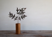 4 ヒトエダサシ.jpg